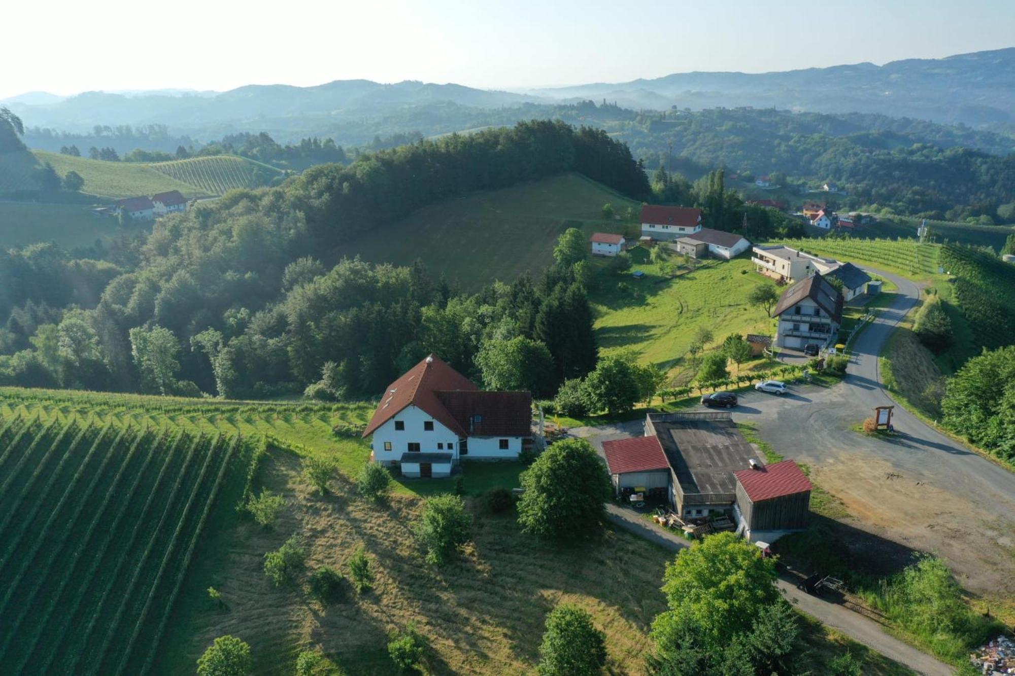 Trautenburg Stub'N Лойчах Экстерьер фото